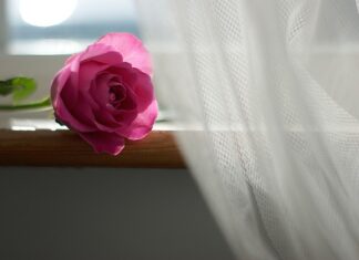 Co to jest firana z markizety?