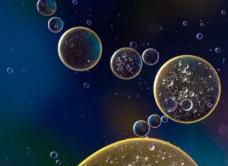 Ile oleju do Aveo t300?