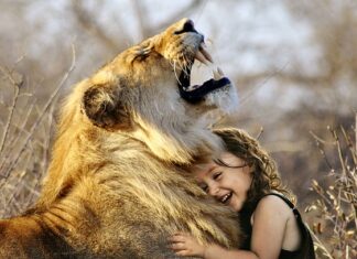 Jakie auto jest lepsze Mazda czy Toyota?